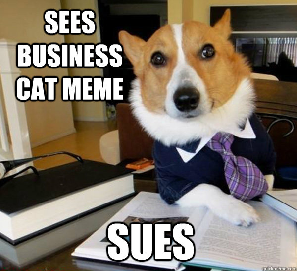 sees business cat meme sues  Lawyer Dog