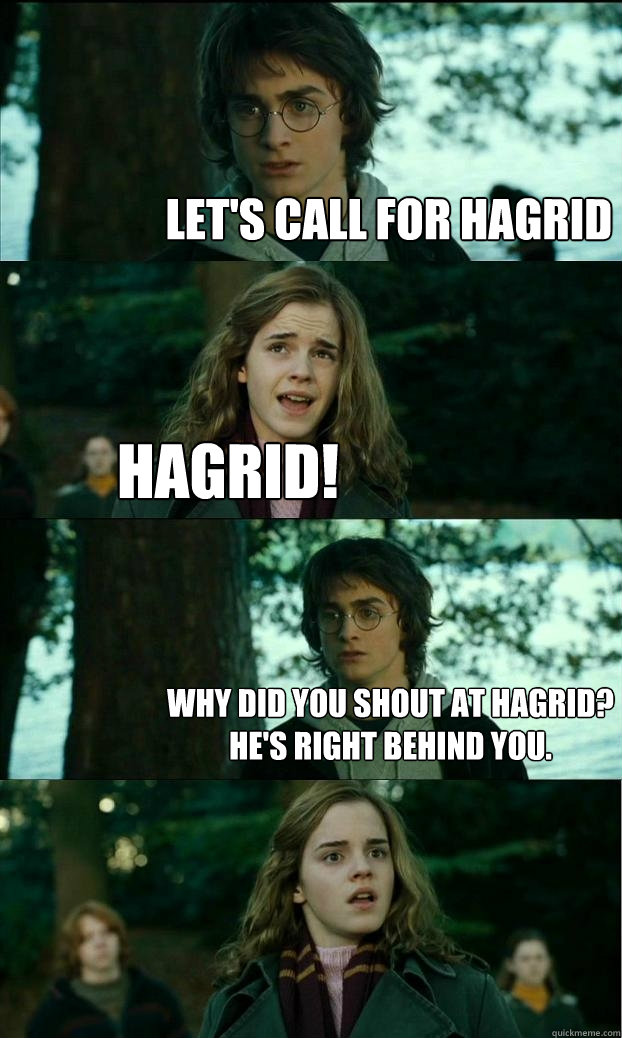 let's call for hagrid hagrid! why did you shout at hagrid? he's right behind you.  Horny Harry