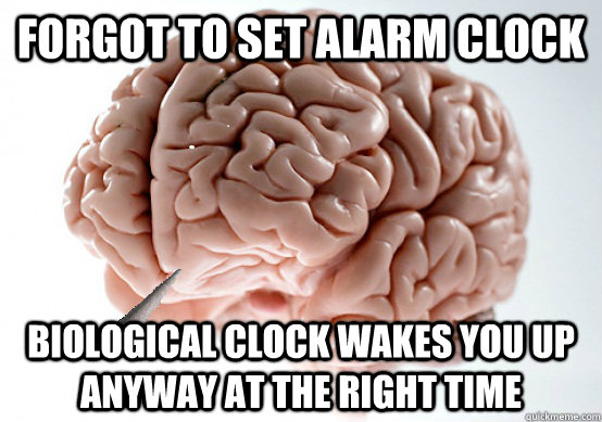Forgot to set alarm clock biological clock wakes you up anyway at the right time  Good Guy Brain