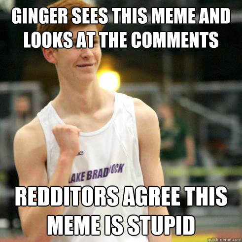 Ginger sees this meme and looks at the comments Redditors agree this meme is stupid   Success Ginger