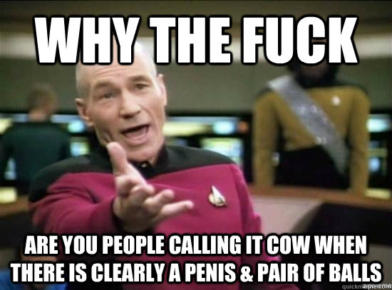 Why the fuck are you people calling it cow when there is clearly a penis & pair of balls  Annoyed Picard HD