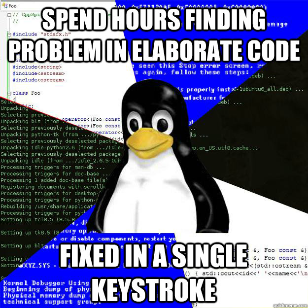 spend hours finding problem in elaborate code fixed in a single keystroke  Computer Science Penguin