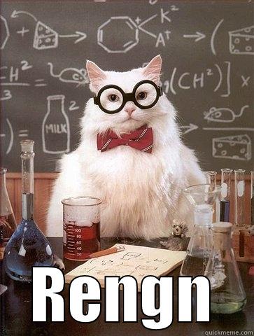  RENGN Chemistry Cat