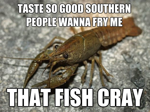 Taste so good Southern People Wanna Fry Me that fish cray  that fish cray