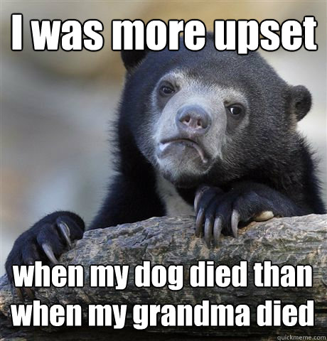 I was more upset when my dog died than when my grandma died  Confession Bear