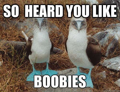 SO  HEARD YOU LIKE BOOBIES - SO  HEARD YOU LIKE BOOBIES  boobie birds