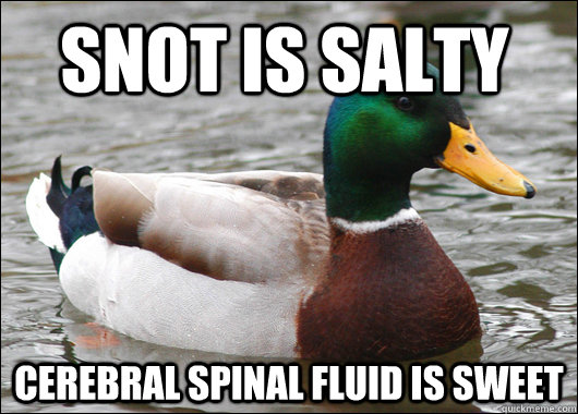 Snot is salty Cerebral Spinal fluid is sweet  Actual Advice Mallard