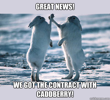 Great News!  We Got the Contract With Caddberry!  Bunny Bros