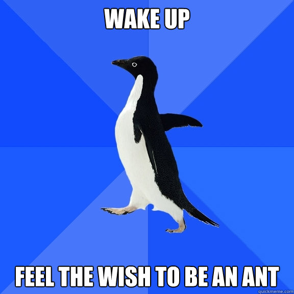 wake up feel the wish to be an ant  Socially Awkward Penguin