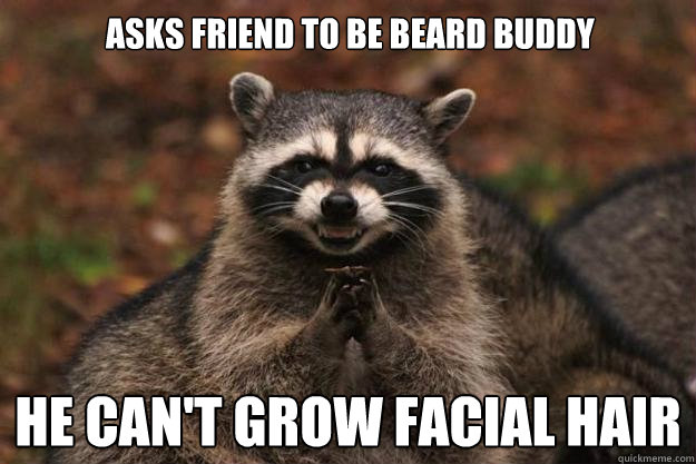 Asks friend to be beard buddy HE CAN't grow facial hair  Evil Plotting Raccoon
