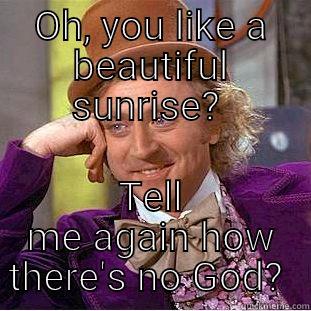 OH, YOU LIKE A BEAUTIFUL SUNRISE?  TELL ME AGAIN HOW THERE'S NO GOD?  Condescending Wonka