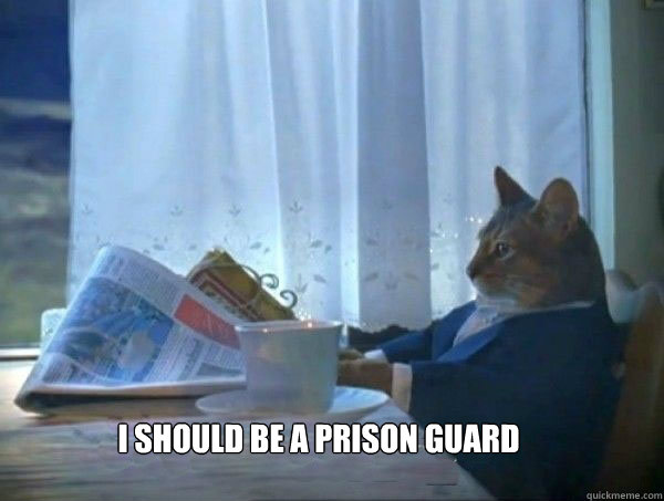  i should be a prison guard -  i should be a prison guard  morning realization newspaper cat meme