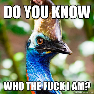 do you know who the fuck i am? - do you know who the fuck i am?  Misc