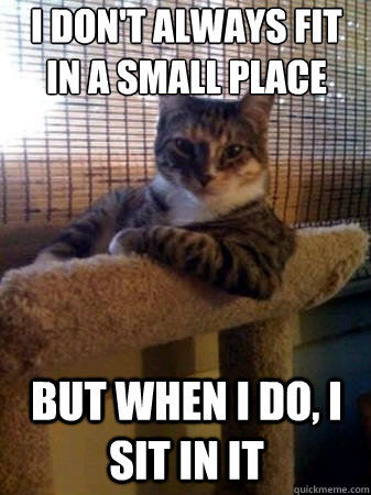 i don't always fit in a small place but when i do, i sit in it  The Most Interesting Cat in the World