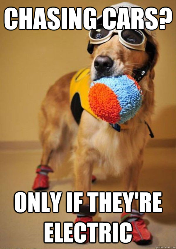 Chasing Cars? Only if they're electric - Chasing Cars? Only if they're electric  New Money Dog