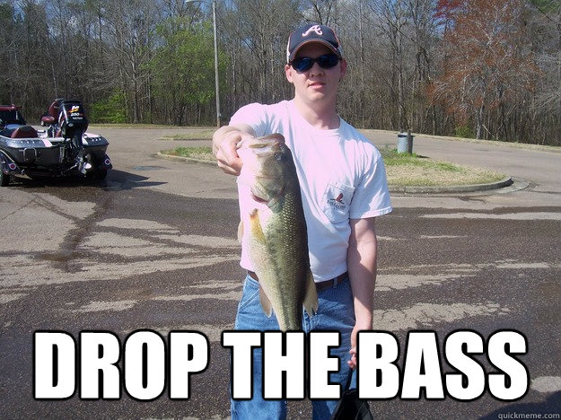  DROP THE BASS -  DROP THE BASS  Dubstep Fan