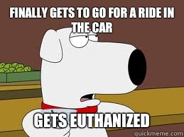 Finally gets to go for a ride in the car Gets euthanized  Bad Luck Brian Griffin