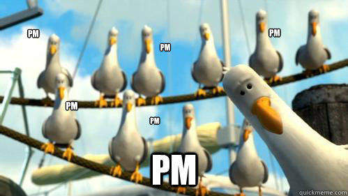 PM PM PM PM PM PM - PM PM PM PM PM PM  Finding Nemo Seagulls