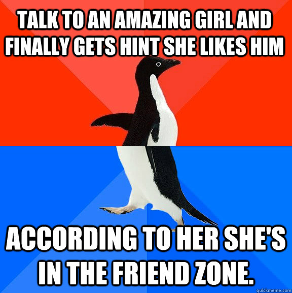 Talk to an amazing girl and finally gets hint she likes him According to her she's  in the friend zone.  Socially Awesome Awkward Penguin