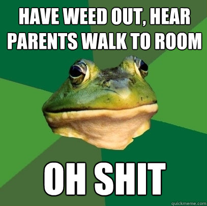 have weed out, hear parents walk to room oh shit  Foul Bachelor Frog