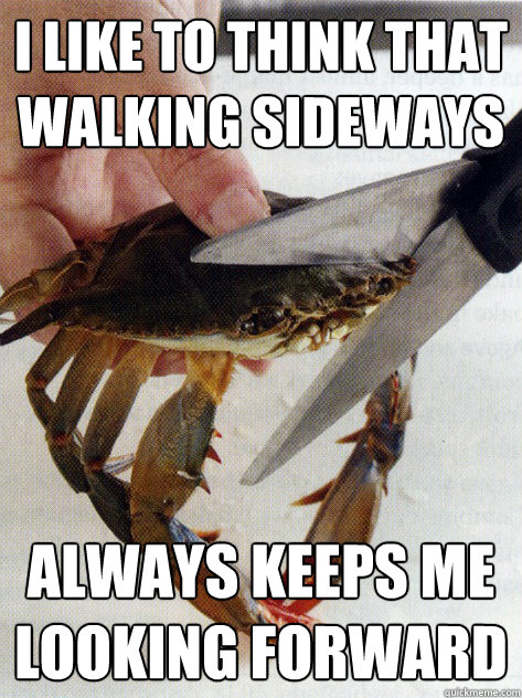 i like to think that walking sideways always keeps me looking forward  Optimistic Crab