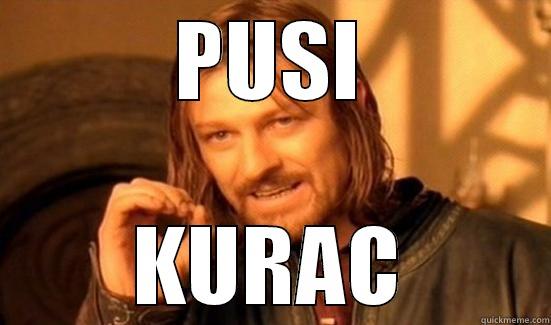 PUSI KURAC Boromir