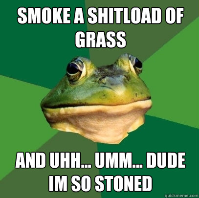 smoke a shitload of grass and uhh... umm... dude im so stoned  Foul Bachelor Frog