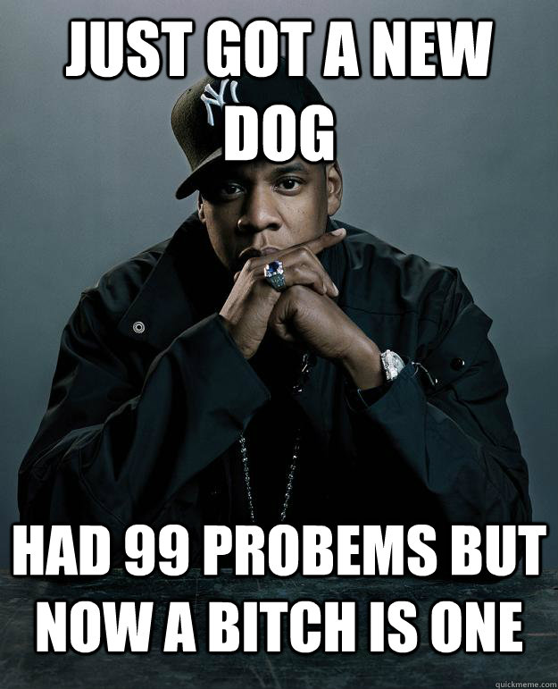 Just got a new dog Had 99 Probems but now a bitch is one  Jay Z Problems