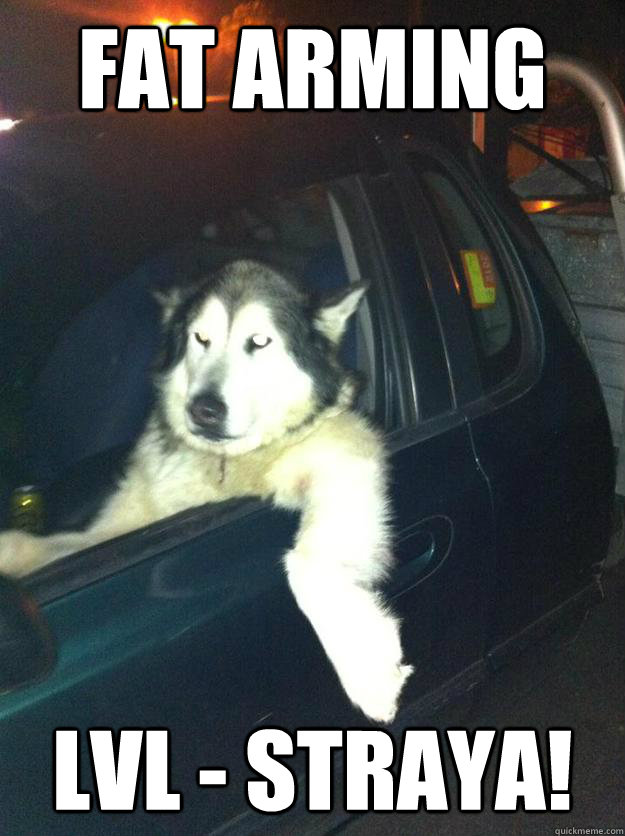 fat arming lvl - straya!  Mean Dog