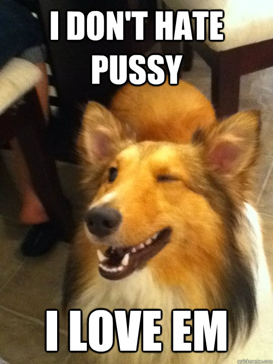 I don't Hate Pussy I love em  winking dog