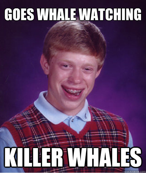 Goes whale watching Killer Whales  Bad Luck Brian