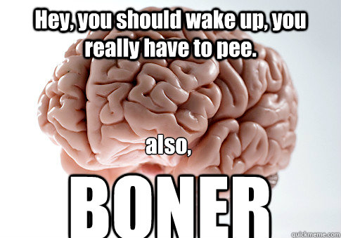 Hey, you should wake up, you really have to pee. also,
 BONER  Scumbag Brain