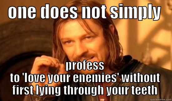   ONE DOES NOT SIMPLY    PROFESS TO 'LOVE YOUR ENEMIES' WITHOUT FIRST LYING THROUGH YOUR TEETH Boromir
