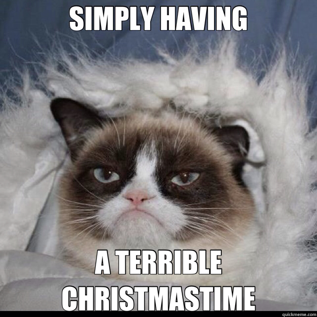  A TERRIBLE CHRISTMASTIME  Xmas grumpy cat