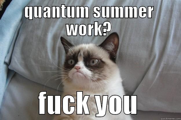 Part III work. - QUANTUM SUMMER WORK? FUCK YOU Grumpy Cat