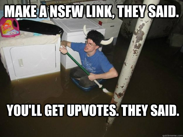Make a NSFW link, they said. You'll get upvotes. they said.  Laundry Room Viking