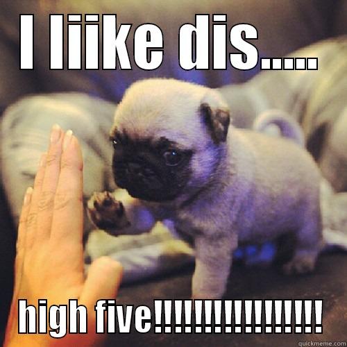 I LIIKE DIS..... HIGH FIVE!!!!!!!!!!!!!!!!! Misc