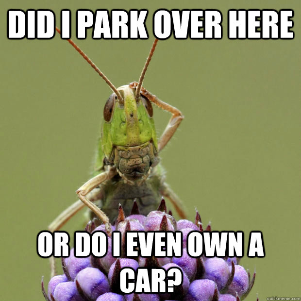 Did I park over here Or do I even own a car? - Did I park over here Or do I even own a car?  Confused grasshopper