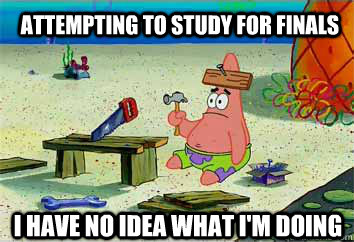Attempting to study for finals I have no idea what I'm doing  I have no idea what Im doing - Patrick Star