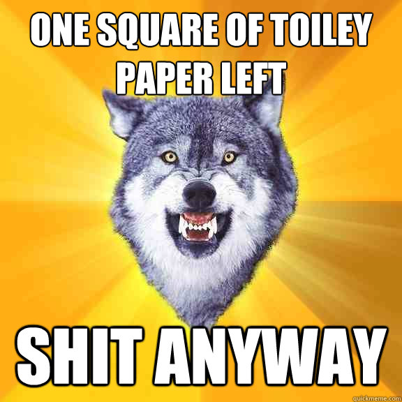 One square of toiley paper left Shit anyway  Courage Wolf