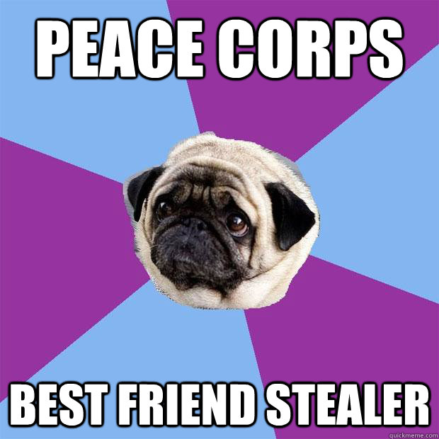 peace corps best friend stealer  Lonely Pug