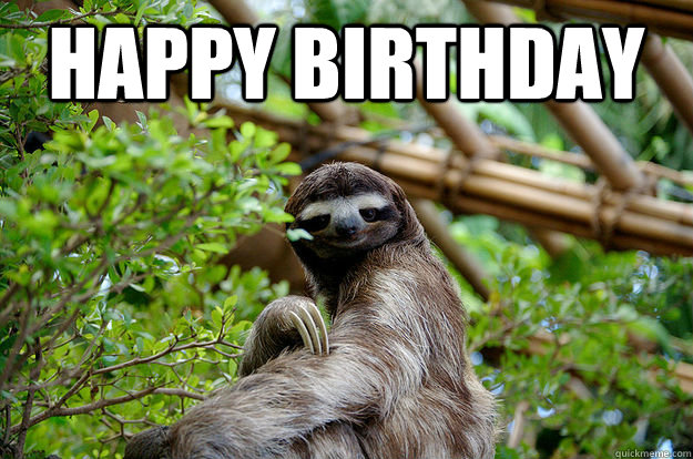 Happy Birthday    Fabulous Sloth