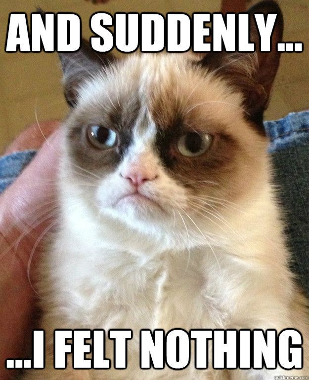 And suddenly... ...i felt nothing  grumpycat