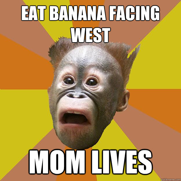 Eat banana facing west Mom lives  OCD Chimpanzee