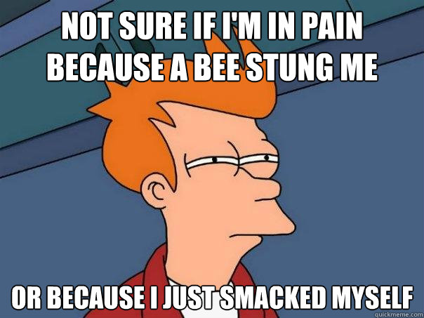 Not sure if I'm in pain because a bee stung me Or because i just smacked myself  Futurama Fry