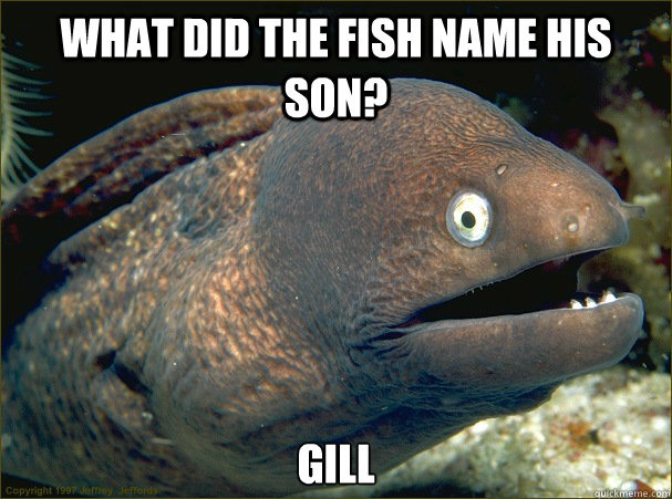 What did the fish name his son? Gill  Bad Joke Eel