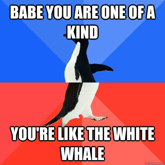 Babe you are one of a kind you're like the white whale  Socially Awkward Awesome Penguin