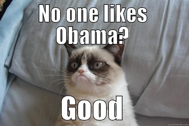 NO ONE LIKES OBAMA? GOOD Grumpy Cat