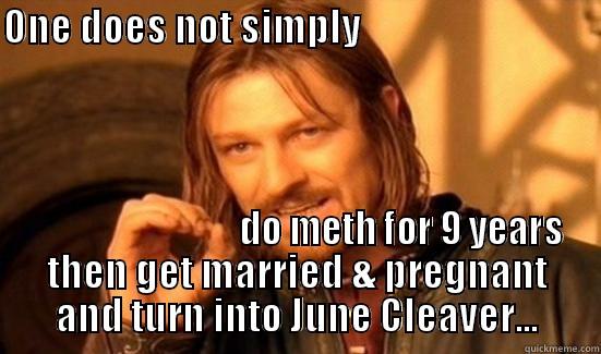 ONE DOES NOT SIMPLY                                                                  DO METH FOR 9 YEARS THEN GET MARRIED & PREGNANT AND TURN INTO JUNE CLEAVER... Boromir