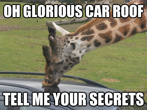 Oh glorious car roof Tell me your secrets - Oh glorious car roof Tell me your secrets  Giraffe